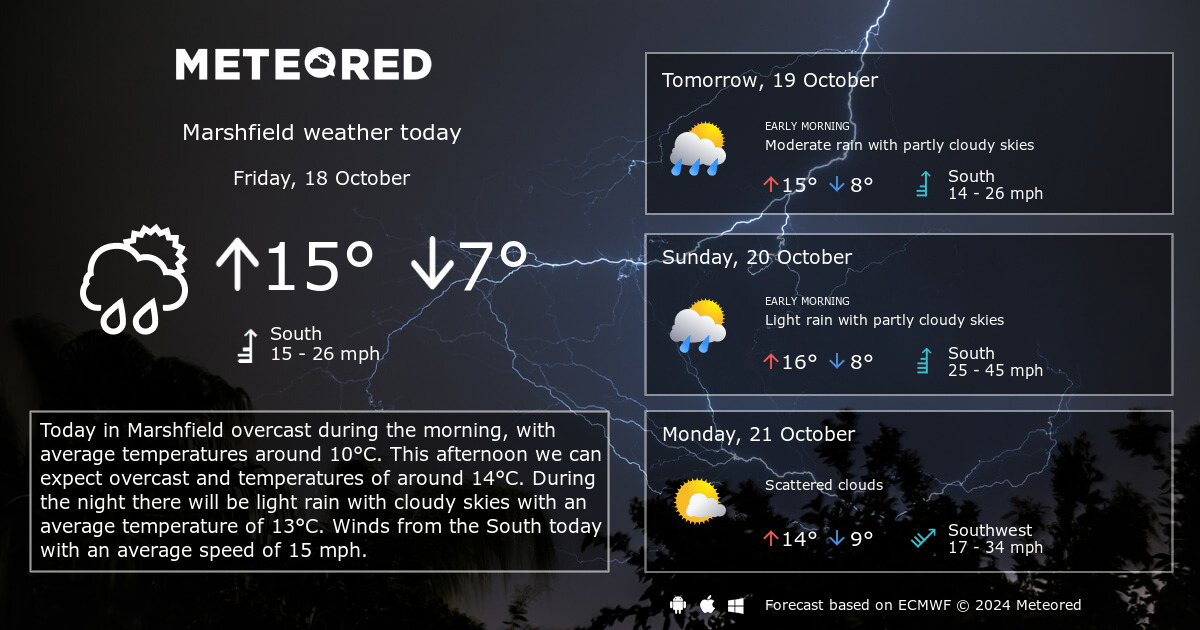 marshfield hourly weather