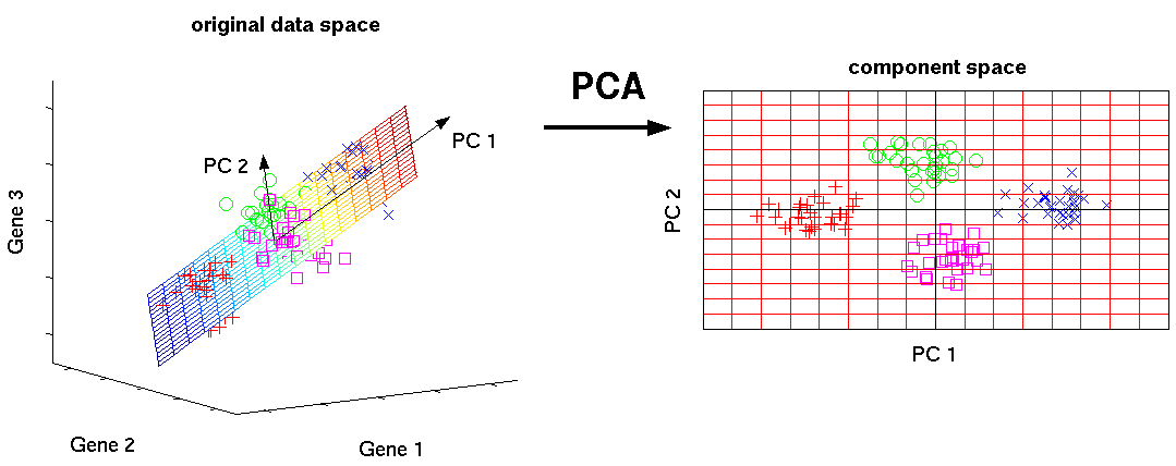 matlab pca