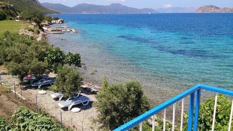 mavi akvaryum pansiyon marmaris