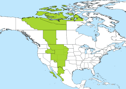 mdt time zone converter