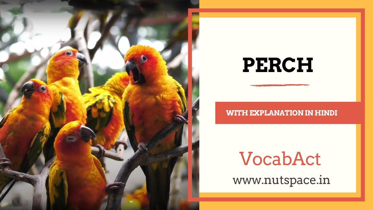 meaning of perch in hindi