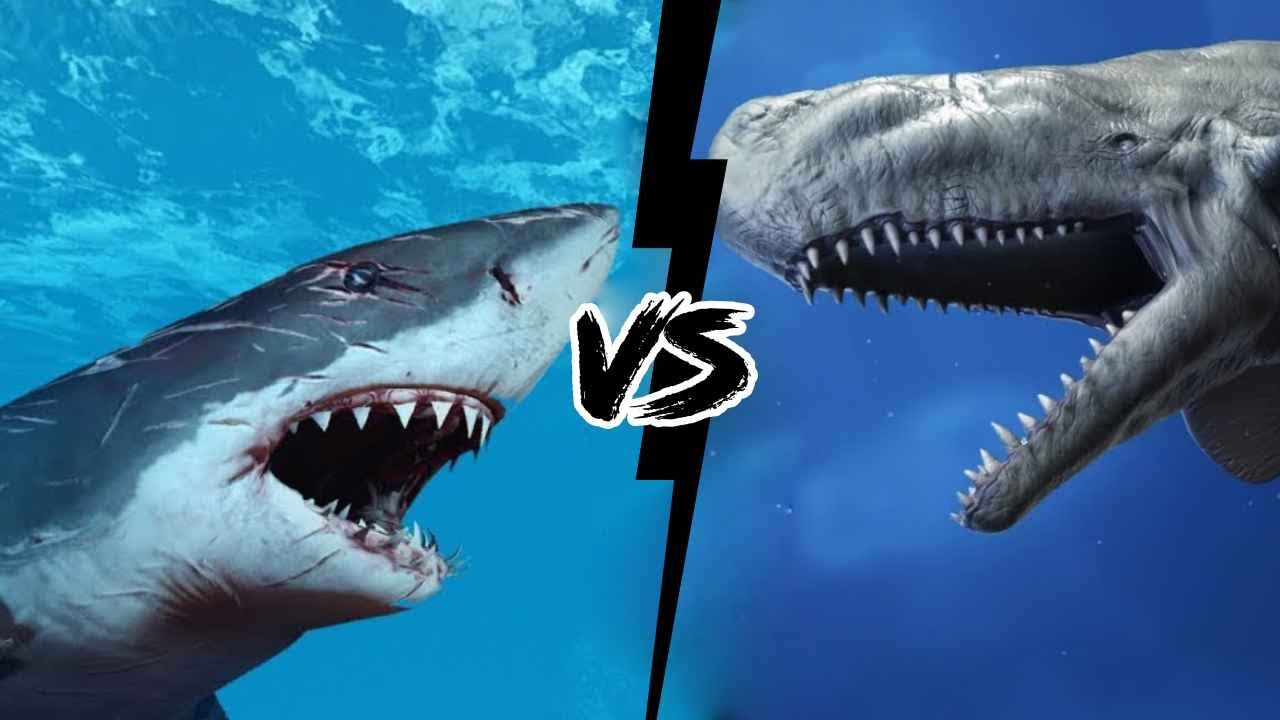 megalodon vs leviathan