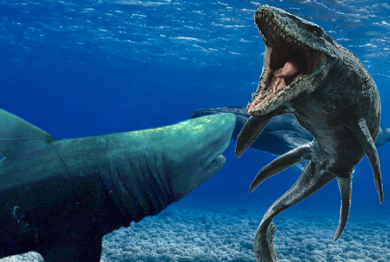 megalodon y mosasaurus