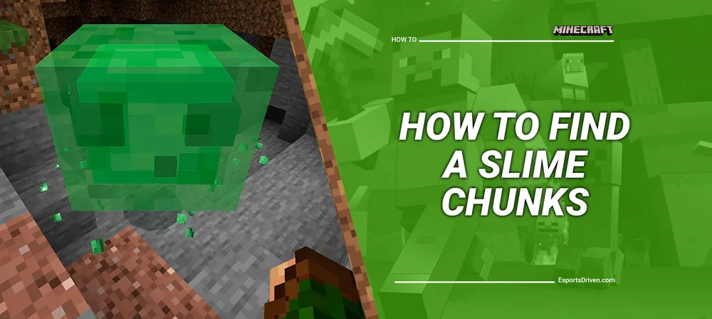 minecraft slime chunk finder