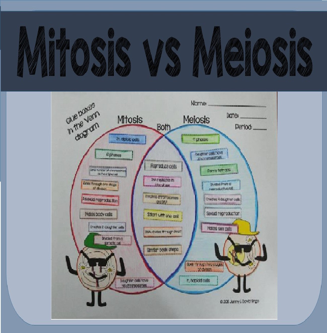 mitosis and meiosis venn diagram