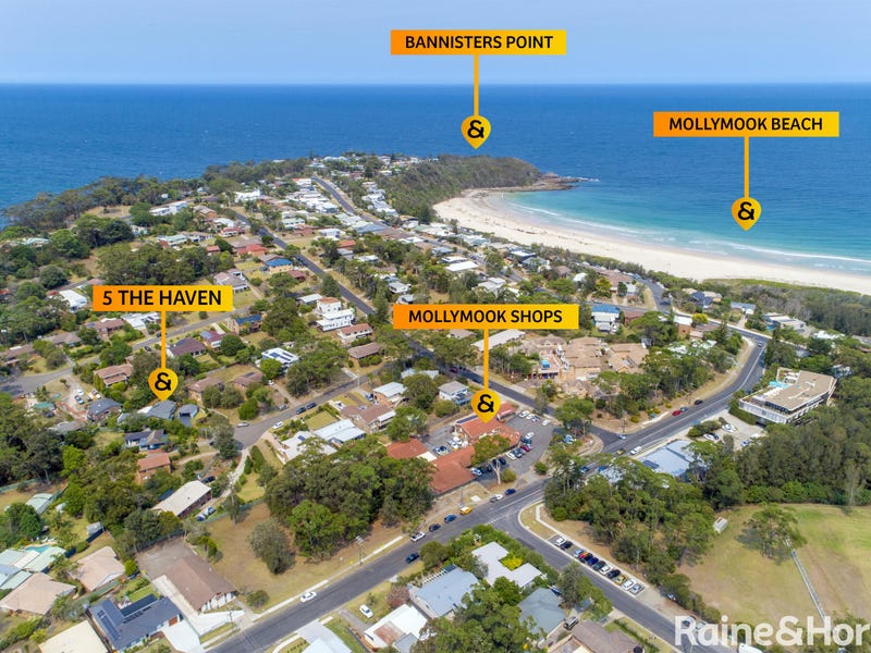 mollymook realestate