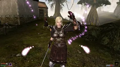 morrowind animation mod