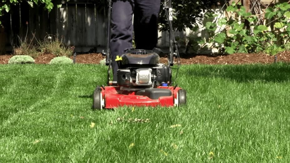 mowing service