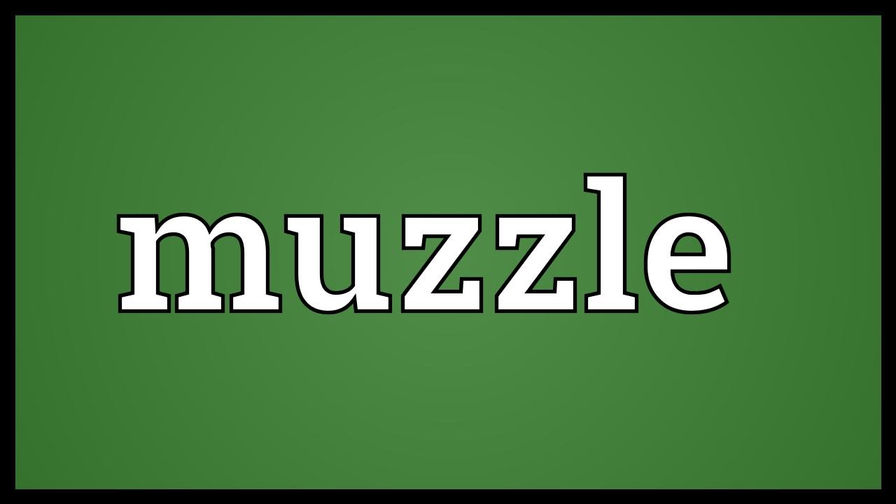 muzzle pronunciation