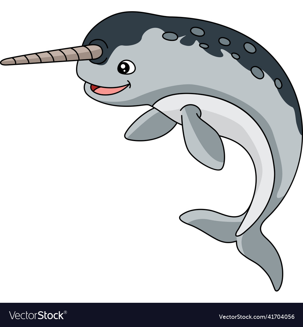 narwhal clipart