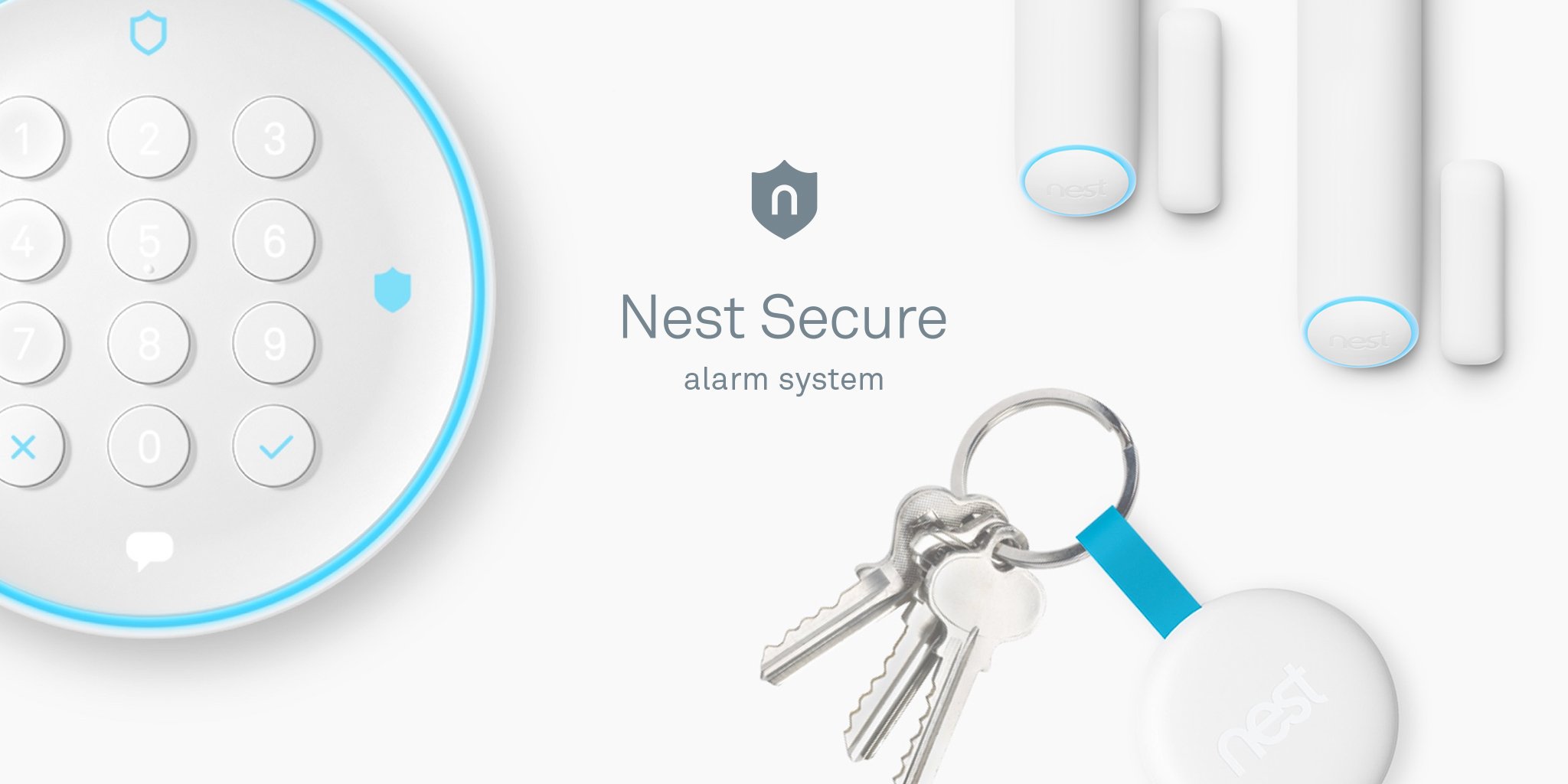 nest monitoring cost