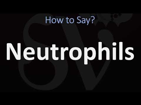 neutrophils pronunciation