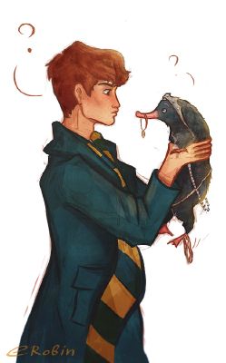 newt scamander x reader lemon