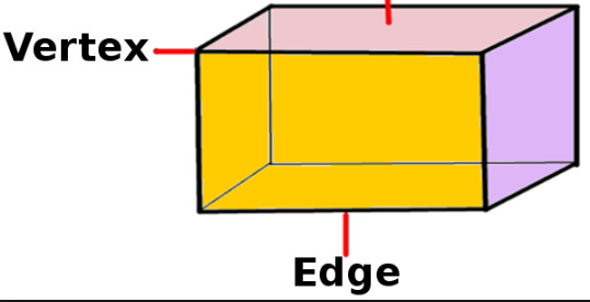 no of vertices in cuboid