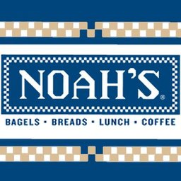 noahs bagels careers