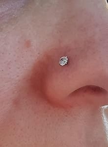 nose studs fake