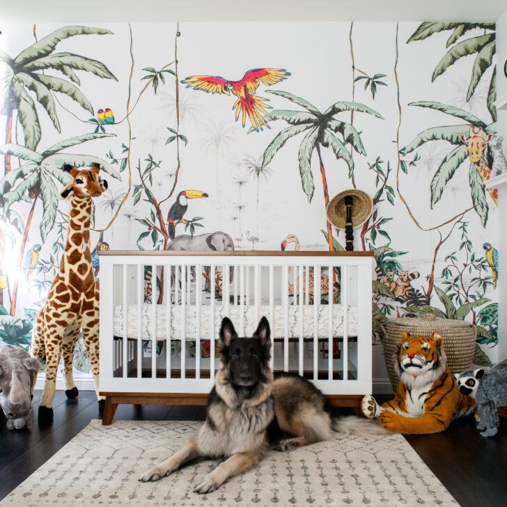 nursery decor jungle