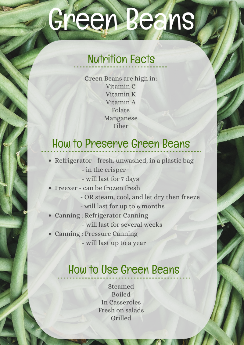 nutritional info green beans