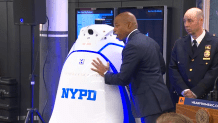 nypd robot toilet