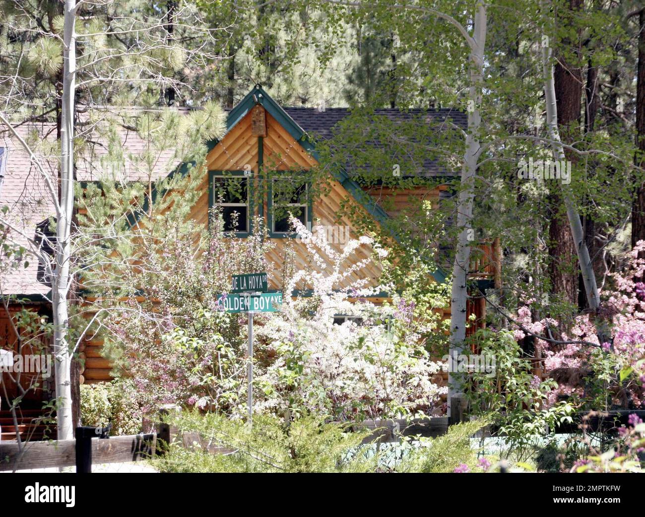 oscar de la hoya big bear cabin