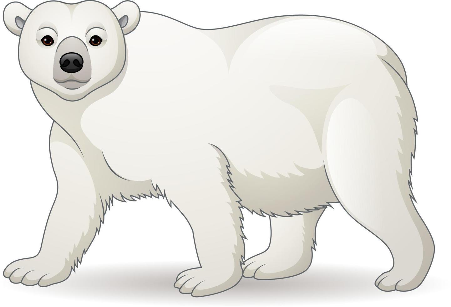 oso polar dibujo