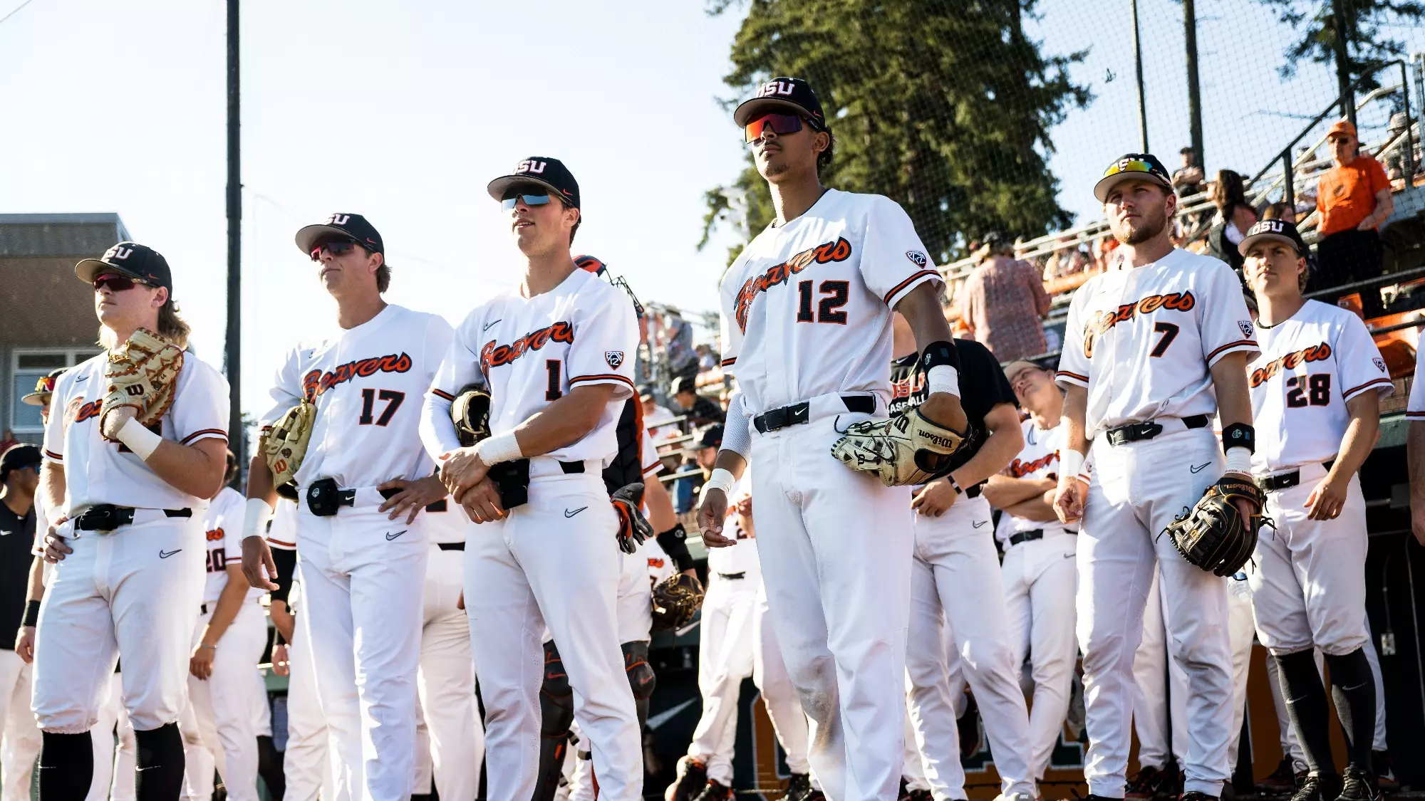 osu beavers baseball