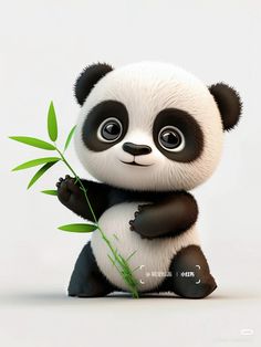 pandas bonitos