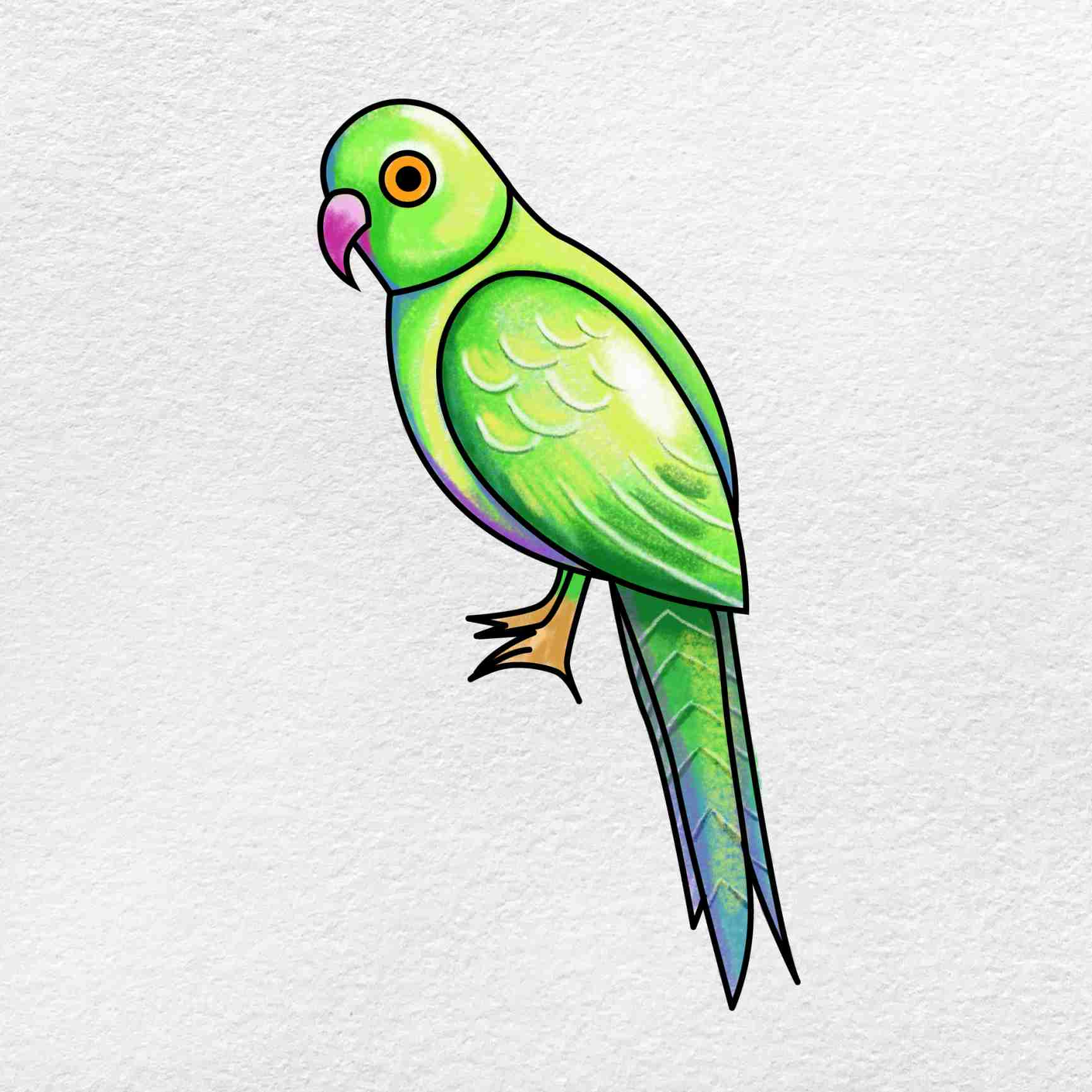 parrot kids drawing