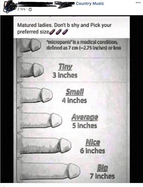 penus size chart