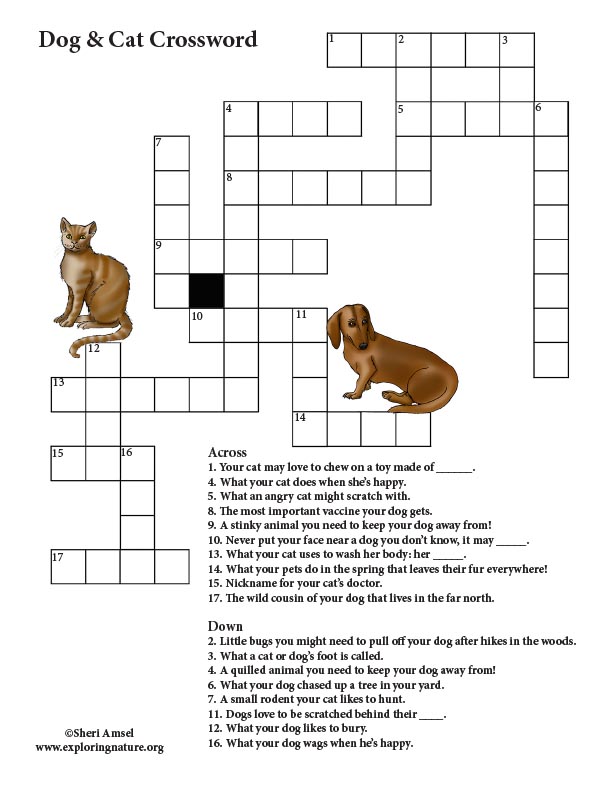 pet crossword clue