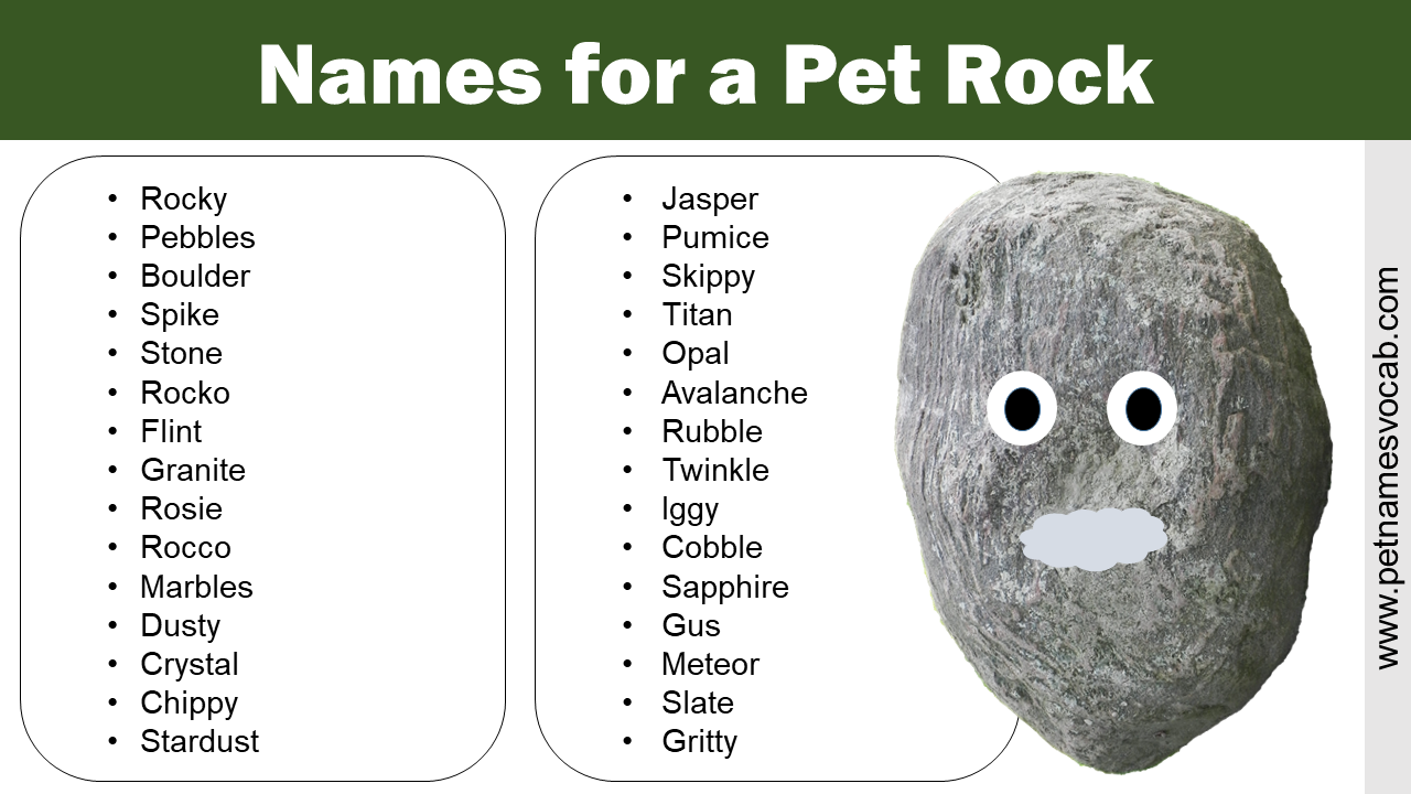 pet rock names generator