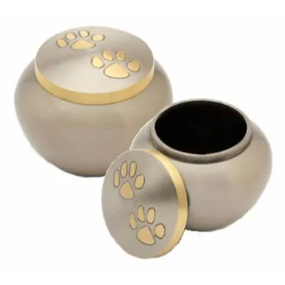 pet urn ashes