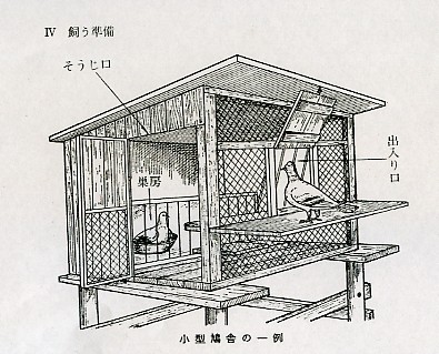 pigeon loft design plans