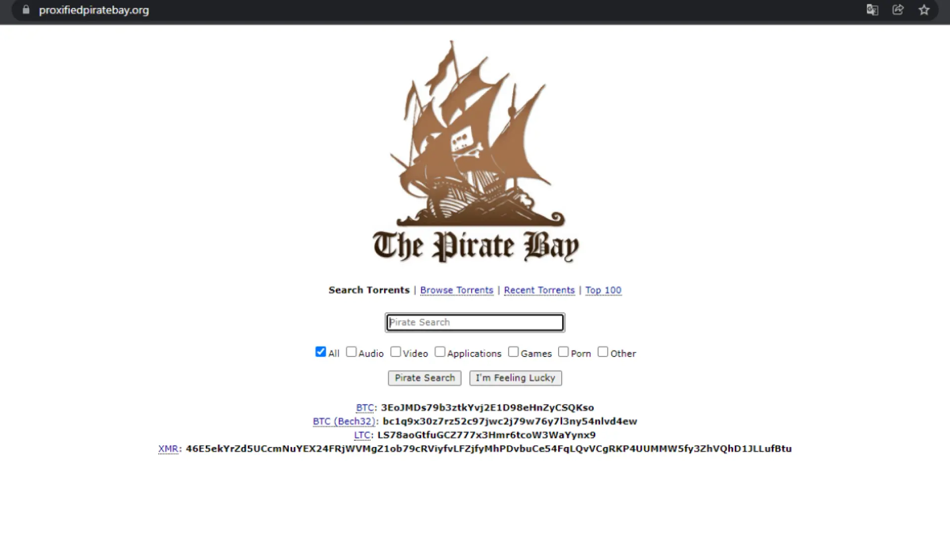 piratebayproxy se