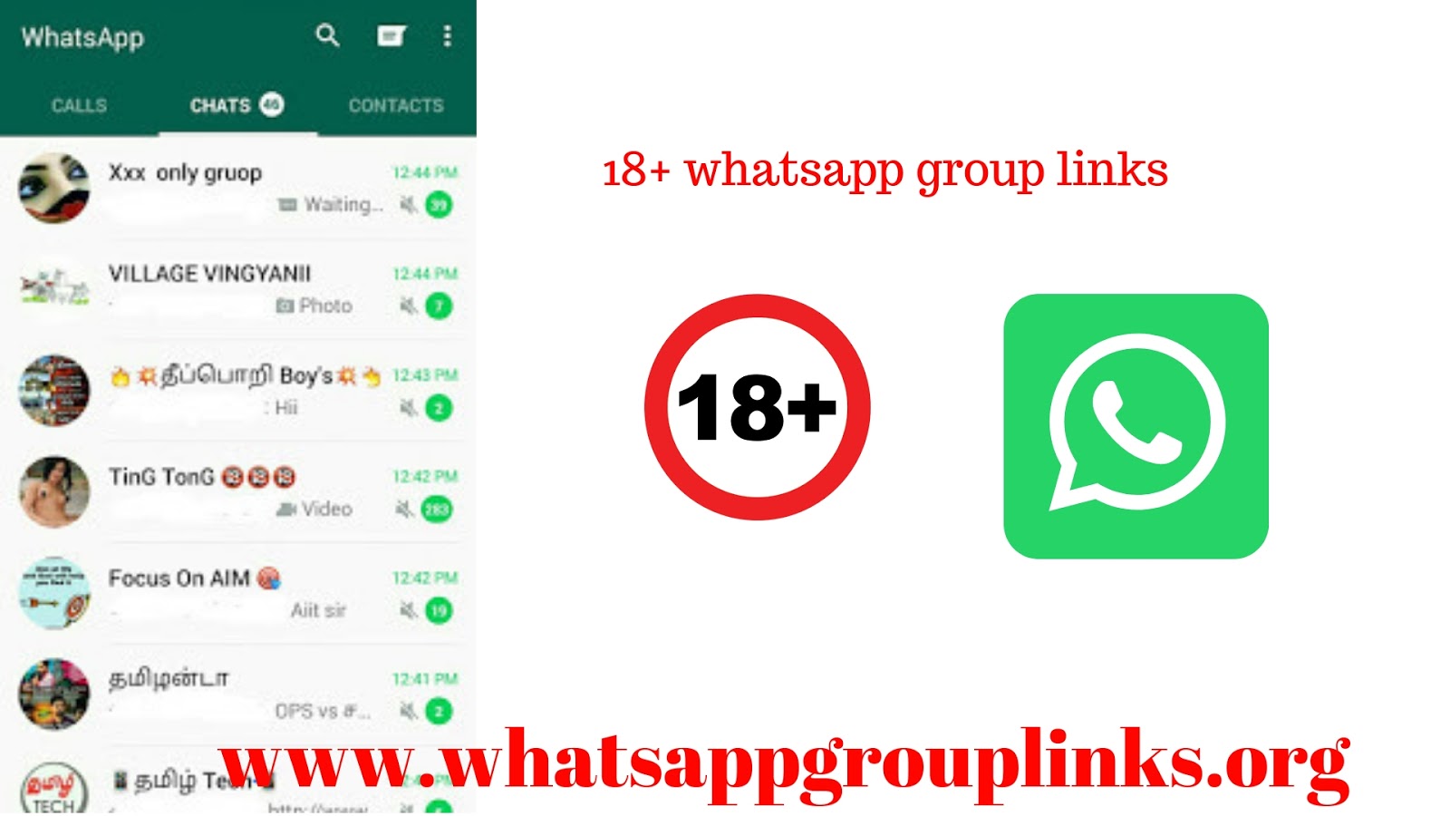 porn videos whatsapp group