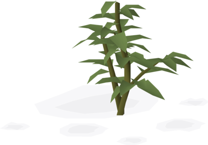 potato tree osrs