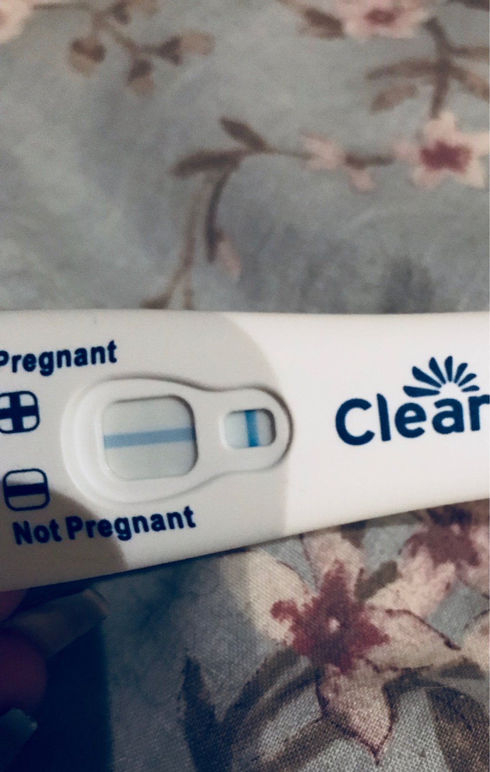 pregnancy test at 12 dpo