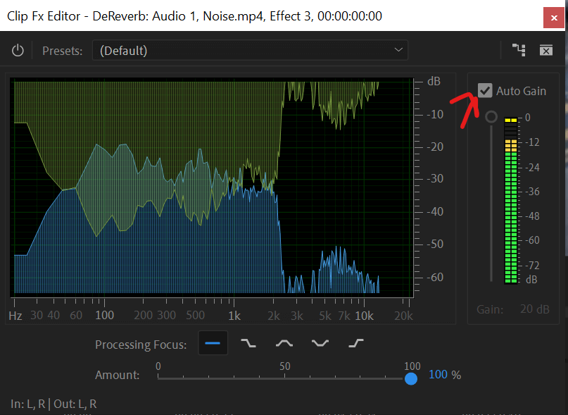 premiere pro remove echo