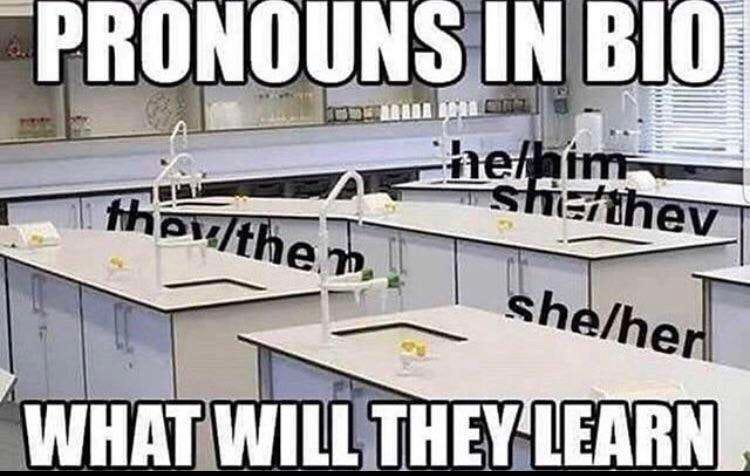 pronouns meme