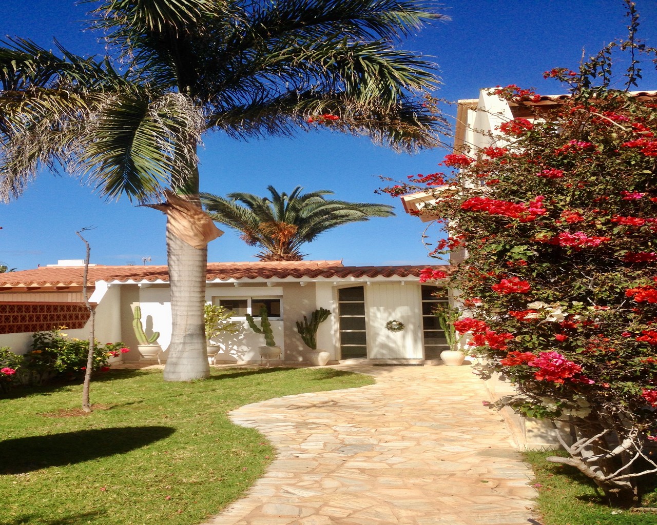 property for sale on fuerteventura