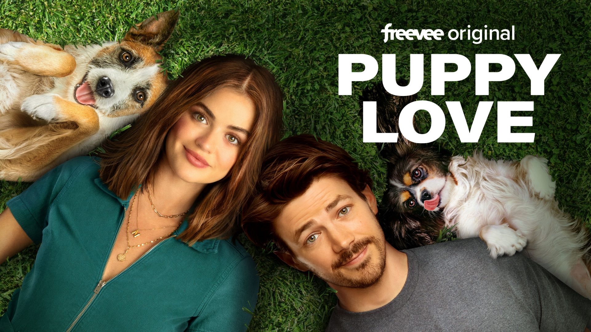 puppy love lucy hale streaming