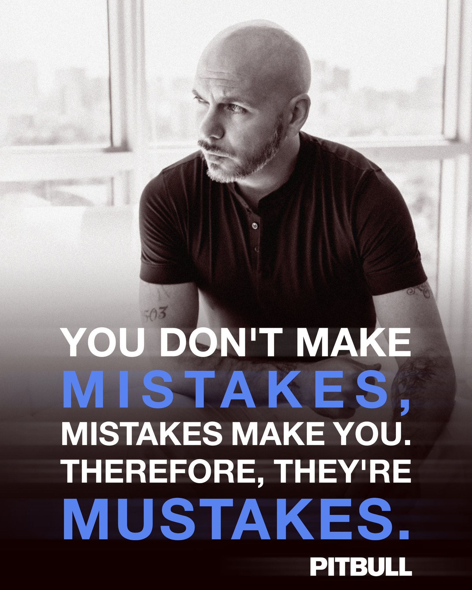 quotes from pitbull