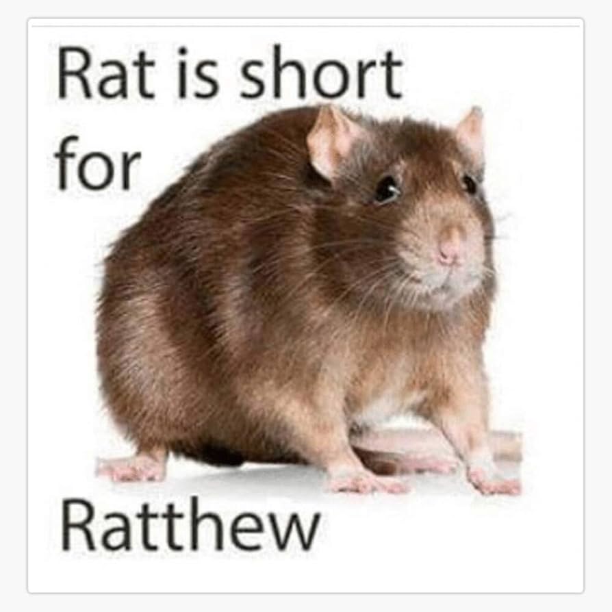 rat is short for ratthew