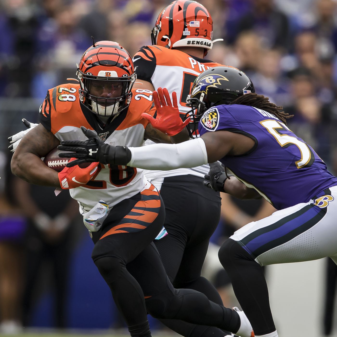 ravens vs bengals odds shark