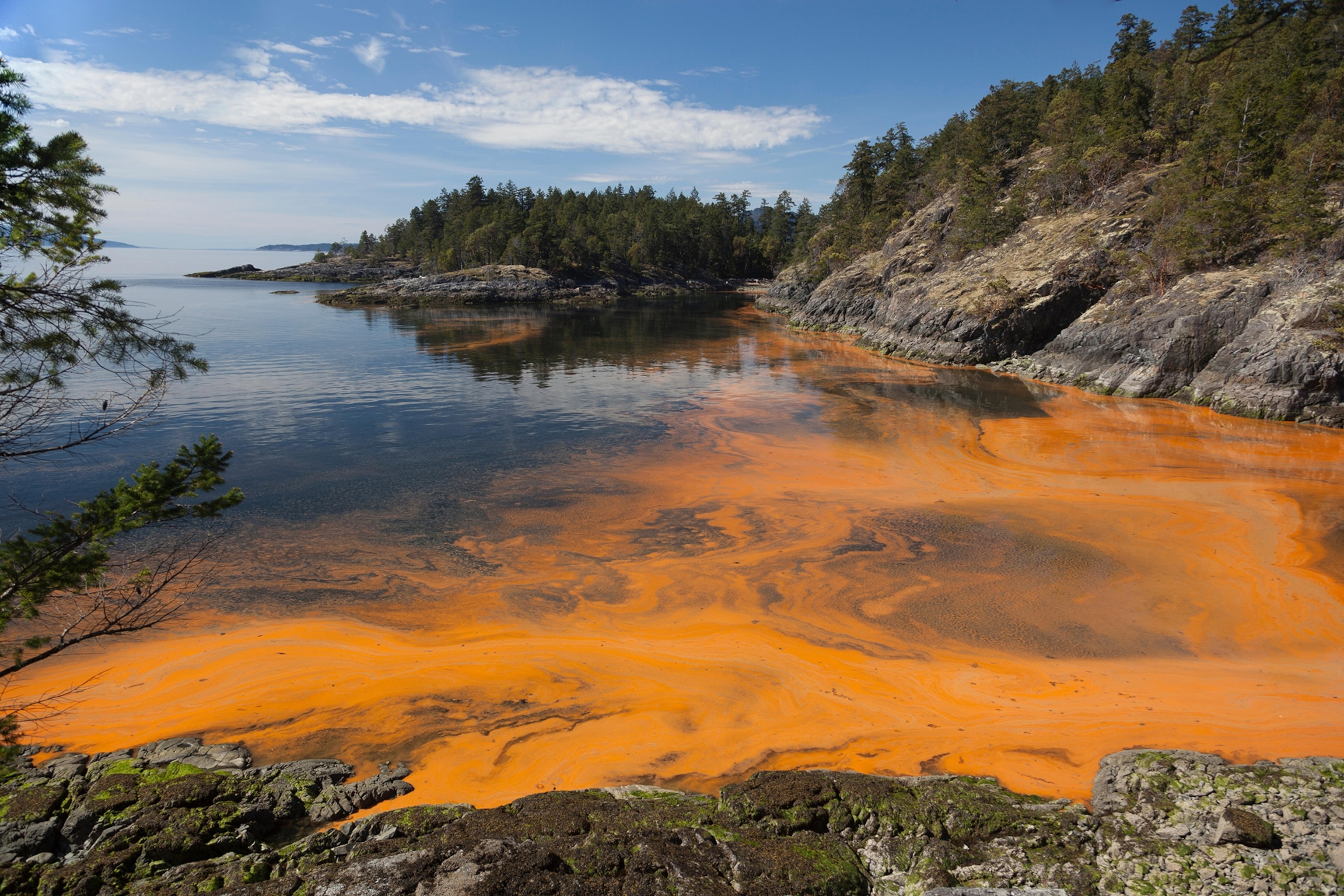 red tide hope island