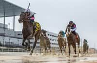 results aqueduct racetrack today