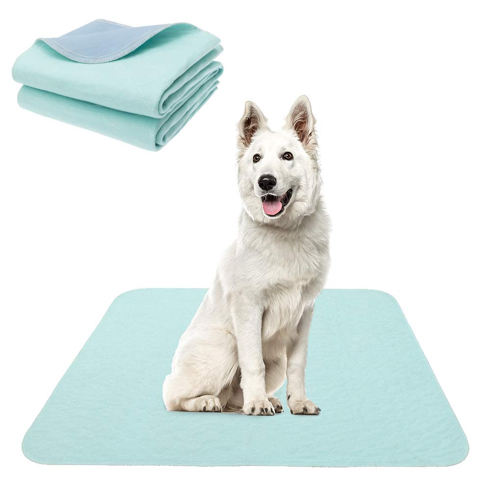 reusable pee pads for dogs