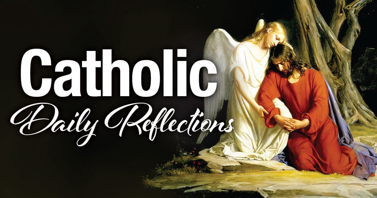 roman catholic daily readings and reflections