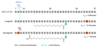 rybelsus wiki