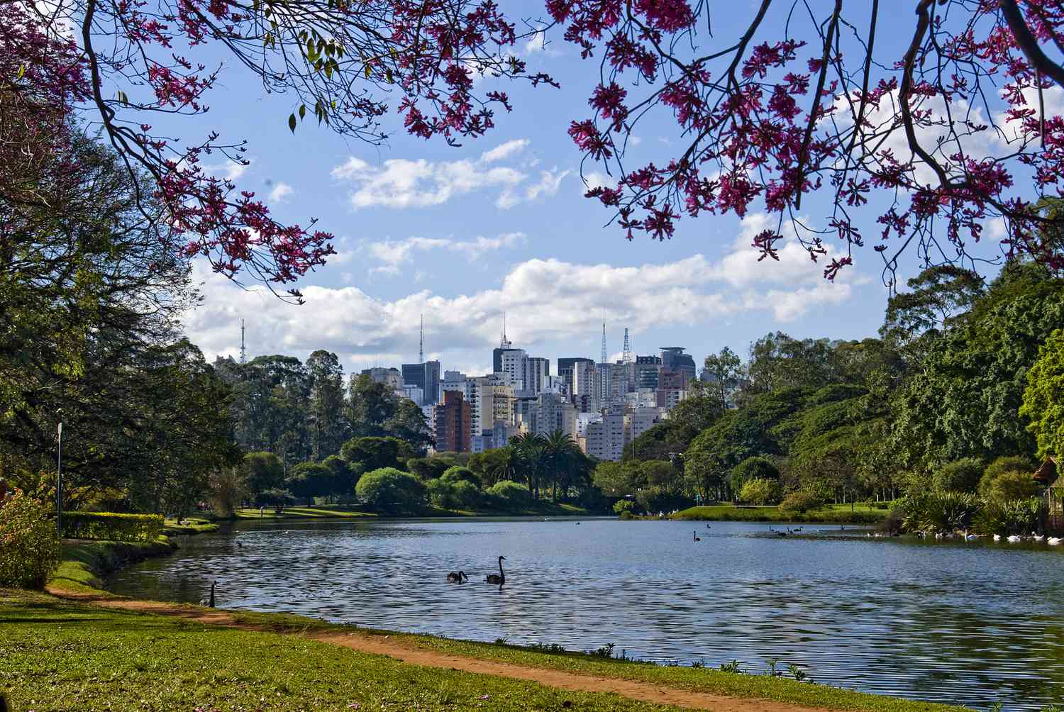 sao paulo brazil weather